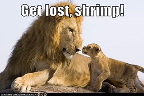 Get lost, shrimp!