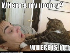 WHere's my money?  WHERE IS IT!!