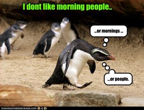 I dont like morning people..