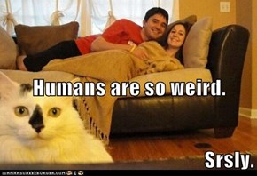 Humans are so weird.  Srsly.
