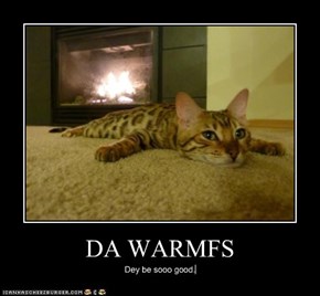 DA WARMFS