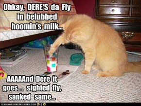 Ohkay,  DERE'S  da  Fly  in  belubbed  hoomin's  milk...  AAAAAnd  Dere  it  goes....   sighted  fly,   sanked   same...
