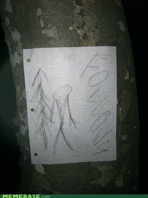 Stapled to a tree on my night hike. No Joke