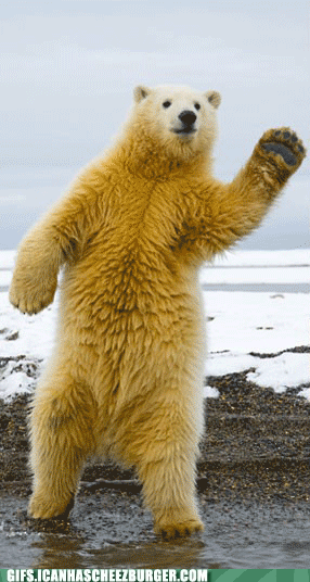 Boogie Nights in the Arctic Circle