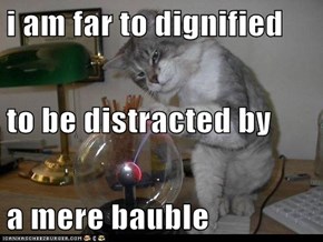 i am far to dignified  to be distracted by a mere bauble