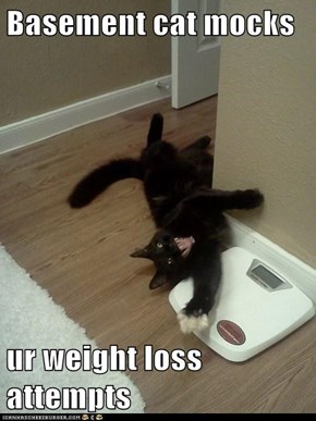 Basement cat mocks  ur weight loss attempts