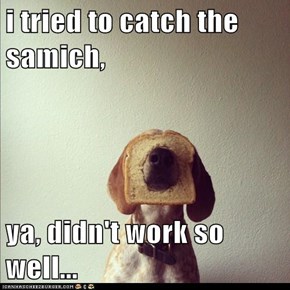 i tried to catch the samich,  ya, didn't work so well...