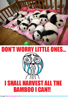 Extreme Panda-monium