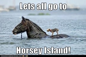 Lets all go to  Horsey Island!