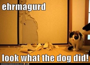 ehrmagurd  look what the dog did!