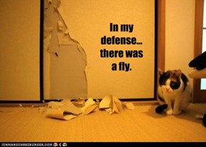 In my defense...there was a fly.