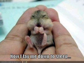 Now I lay me down to sleep...