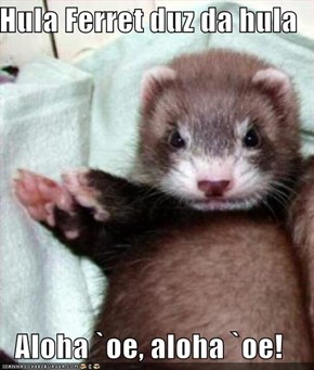 Hula Ferret duz da hula  Aloha `oe, aloha `oe!