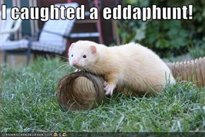 I caughted a eddaphunt!