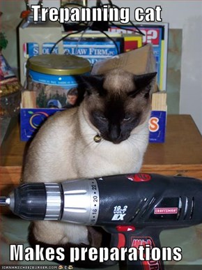 Trepanning cat  Makes preparations