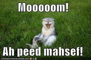 Mooooom!  Ah peed mahsef!