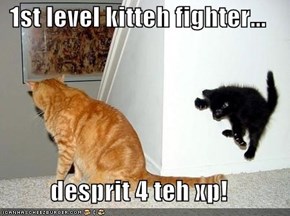 1st level kitteh fighter...  desprit 4 teh xp!