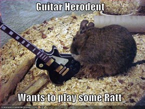 Guitar Herodent  Wants to play some Ratt