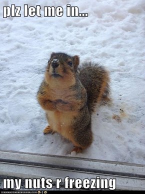 plz let me in...  my nuts r freezing