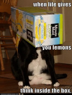 when life gives you lemons think inside the box.
