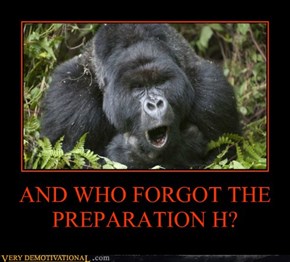 AND WHO FORGOT THE  PREPARATION H?