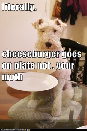literally. cheeseburger goes on plate not . your moth