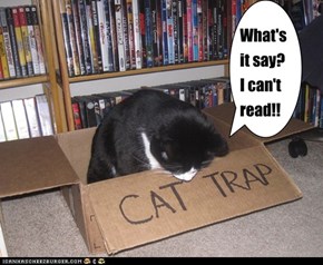 Can't Read!