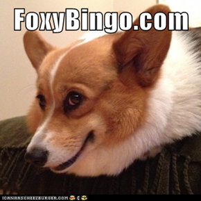 FoxyBingo.com