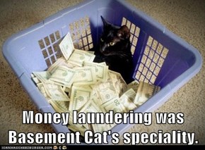 Money laundering was Basement Cat's speciality.