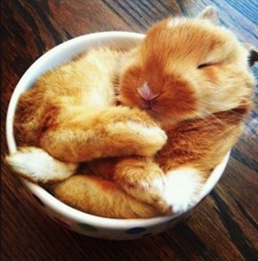 Bunday: Bowl of Bun 