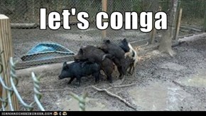 let's conga