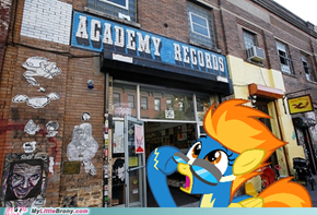 Academy Records, Academy Records Everywhere