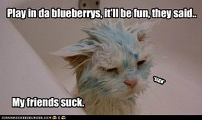 Play in da blueberrys, it'll be fun, they said..