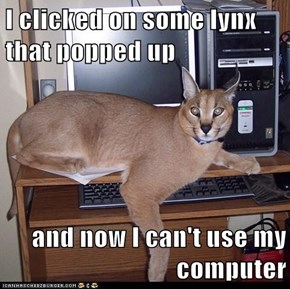 I clicked on some lynx that popped up  and now I can't use my computer