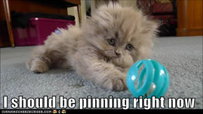 I should be pinning right now