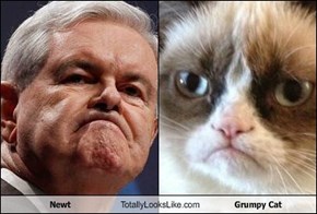Newt Totally Looks Like Grumpy Cat