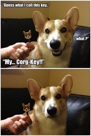 Corgnelius Does Not Approve
