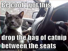 Be cool I got this  drop the bag of catnip between the seats