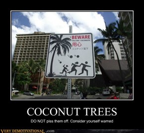 COCONUT TREES
