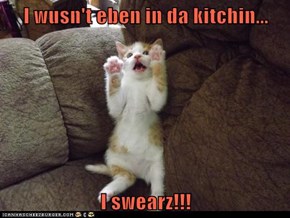 I wusn't eben in da kitchin...  I swearz!!!