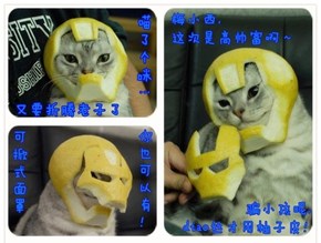 Iron (Grapefruit) Man (Cat)