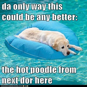 da only way this could be any better:  the hot poodle from next dor here
