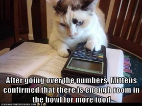 After going over the numbers, Mittens confirmed that there is enough room in the bowl for more food
