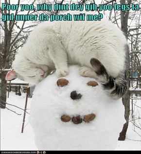 Poor yoo, why dint dey gib yoo legs ta gid unner da porch wif me?
