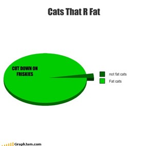 Cats That R Fat