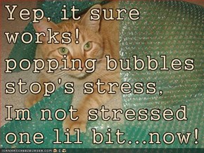 Yep, it sure works! popping bubbles stop's stress, Im not stressed one lil bit...now!
