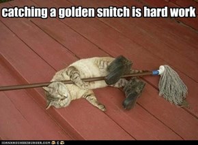 catching a golden snitch is hard work
