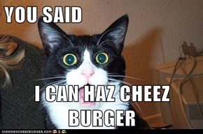 YOU SAID   I CAN HAZ CHEEZ BURGER