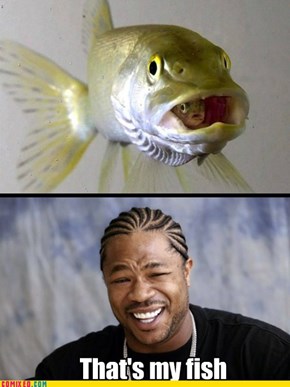 That's my fish