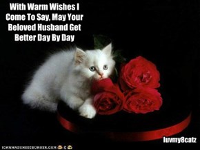 To NawtyKitty From luvmy8catz